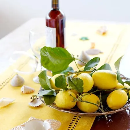 Venus Island Apartment