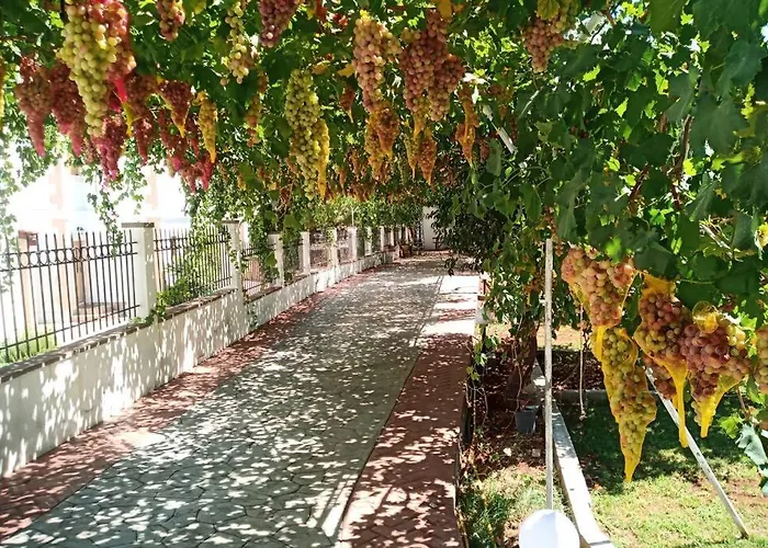 アパート Venus Island *